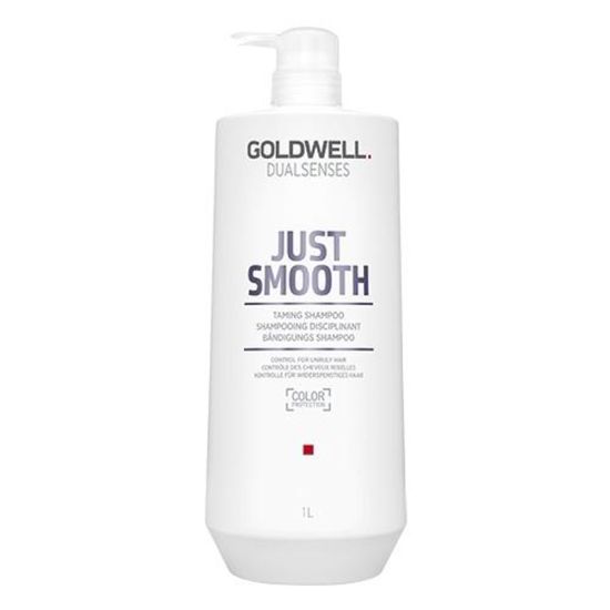 Goldwell Dual Senses Just Smooth Taming Shampoo 1000ml - Worth £59