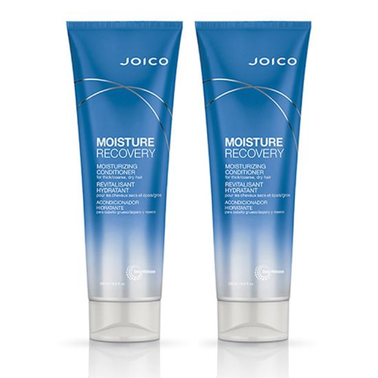 JOICO Moisture Recovery Conditioner 250ml Double